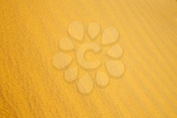 the brown sand dune   in the sahara morocco desert 