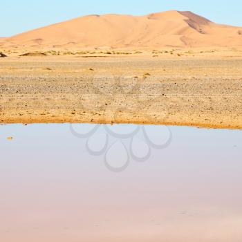 sunshine in the desert of morocco sand and  lake        dune