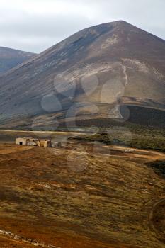 home viticulture  winery lanzarote spain la geria vine screw grapes wall crops  cultivation barrel
