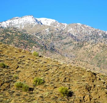 in ground africa morocco the bush  dry atlas mountain