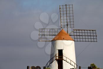 cactus windmills in  isle of lanzarote africa spain   and the sky 
