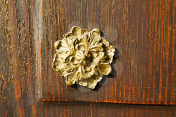 gold face  abstract  house door    in italy   lombardy   column  the milano old         closed nail rusty