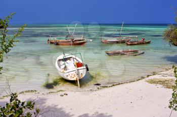 bush africa coastline boat pirague in the  blue lagoon relax  of zanzibar 
