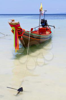 thailand  in  kho tao bay asia isle blue clean water    pirogue   and south china sea 
