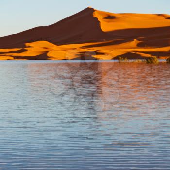 sunshine in the desert of morocco sand and  lake        dune