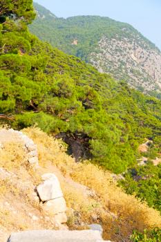 anatolia    from     the hill in asia turkey termessos old architecture and nature 
