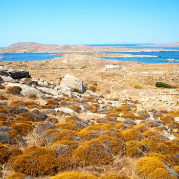 in delos greece the historycal acropolis and    old ruin site