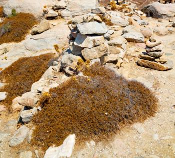 in delos greece the historycal    acropolis and old ruin site