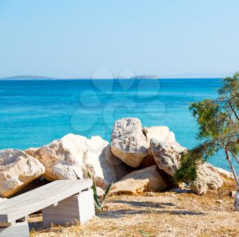  in the island of greece santorini mediterranean ocean and nature tree sky and sea