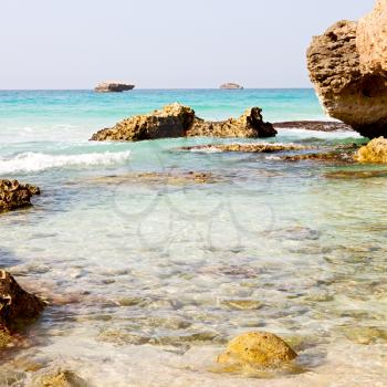  relax near sky in oman coastline sea ocean  gulf rock and beach