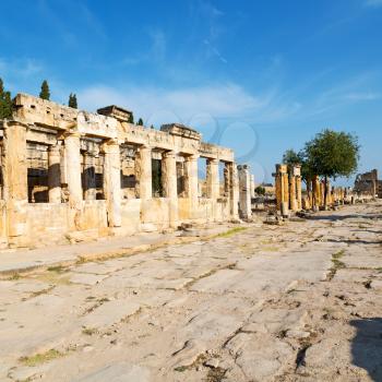  pamukkale    old construction in asia turkey the column  and the roman temple 