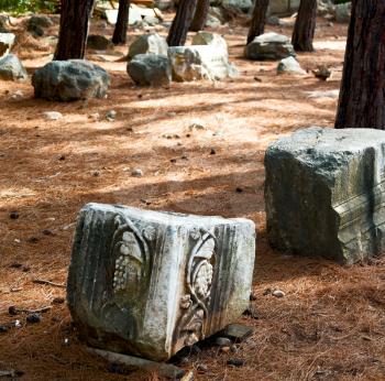  in phaselis temple turkey asia old ruined column and destroyed stone