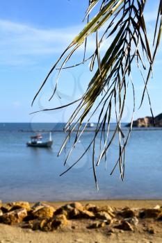 asia in  kho phangan thailand bay isle   beach    rocks pirogue palm and south china sea 