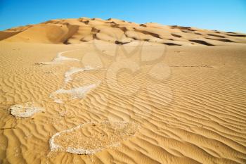 the empty quarter  and outdoor  sand  dune in oman old desert rub al khali 