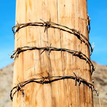 and  in oman barbwire in the  background 