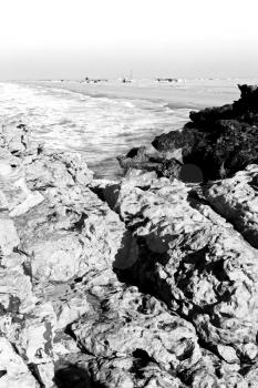  relax near sky in oman coastline sea ocean  gulf rock and beach