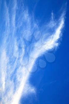 in the busto arsizio lombardy italy  varese abstract   ckoudy sky and sun beam