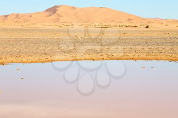 sunshine in the desert of morocco sand and  lake        dune