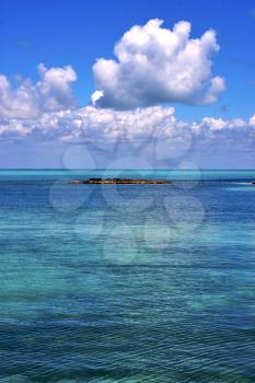 coastline and rock in the  blue lagoon relax  of isla contoy  mexico