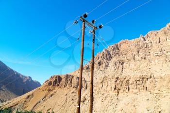  wood pylon energy and current line    in oman the electric cable
