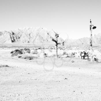 chair in iran blur old dead tree in the empty desert of persia lamp oil on branch