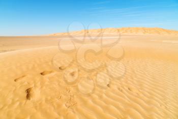 the empty quarter  and outdoor  sand  dune in oman old desert rub   al khali 