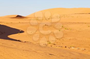 Saharan Stock Photo