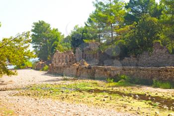  anatolia    from     the hill in asia turkey termessos old architecture and nature 