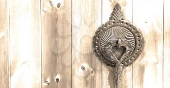 blur in iran antique door entrance and      decorative handle for background