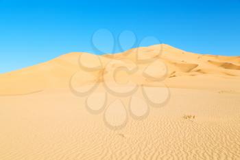 the empty quarter  and outdoor  sand  dune in oman old desert rub   al khali 