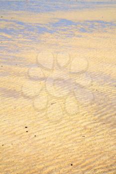 sand and the beach abstract thailand kho tao bay of a  wet  in  south china sea