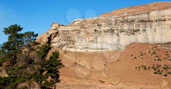 blur   in south africa valley of desolation dirty road rock tree and sky