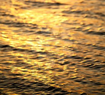 blur  in south africa sea indian ocean and abstract gold wave for sunset