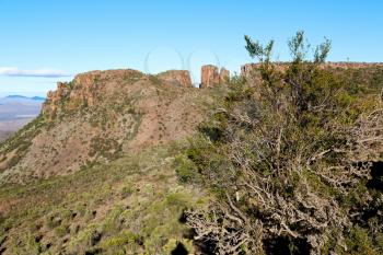 blur   in south africa valley of desolation dirty road rock tree and sky
