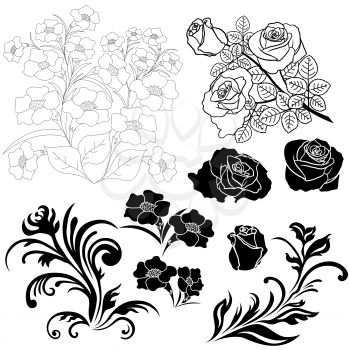 Set of isolated floral elements for design, vector illustration hand drawing