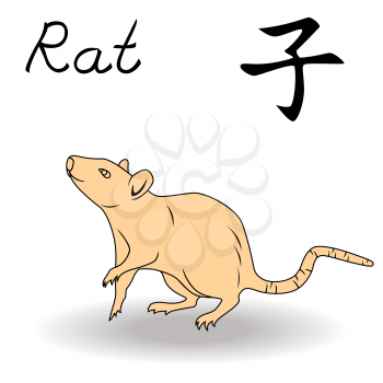 Eastern Zodiac Sign Rat, symbol of New Year in Chinese calendar, hand drawn vector artwork isolated on a white background