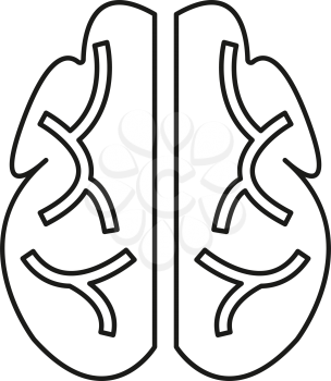 simple thin line top brains icon vector