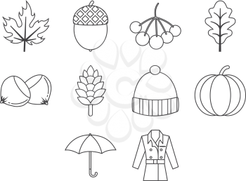 collection of autum season icon vector