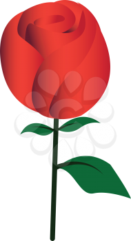 Simple flat color rose icon vector