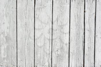 The background of weathered white painted wood