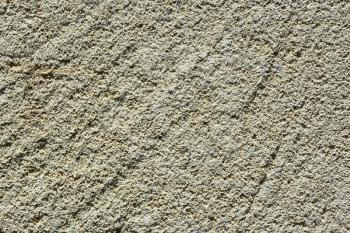Detailed macro cutting of limestone with many small petrified shells