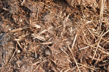 Fragment of the compost heap. High-quality organic fertilizer