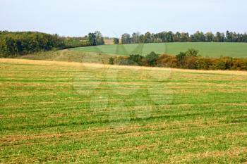 Rural landscape in early autumn. Fields, forest, sky