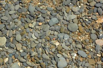 Fragment of pebble beach with flat colored pebbles, small stones and shells detail close-up in bright sunlight