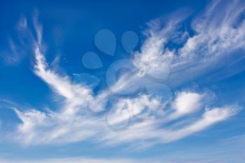 Beautiful sky scenery with different white clouds