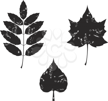 Vector.Grunge leaves silhouete set 02