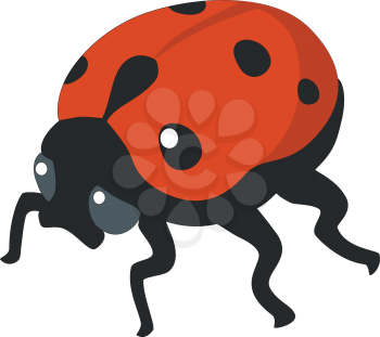 ladybird silhouette in  color 01