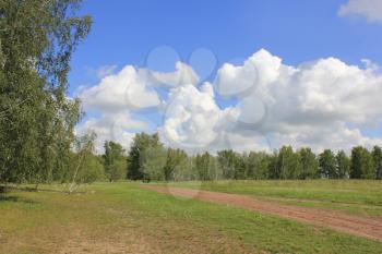 Beautiful summer landscape with field near the forest 20290