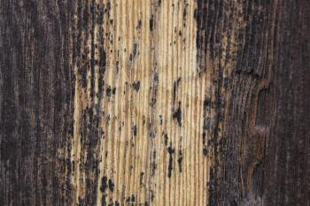 Pattern of the old dry pine boards 20428