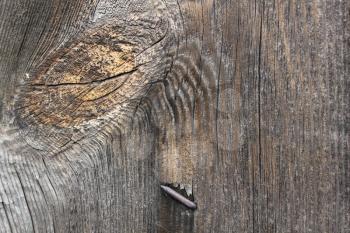 Wood , flooring , natural texture with rusty nails, old vintage 20432
